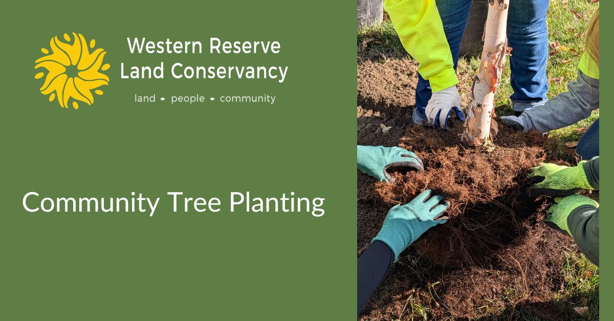 tree planting banner